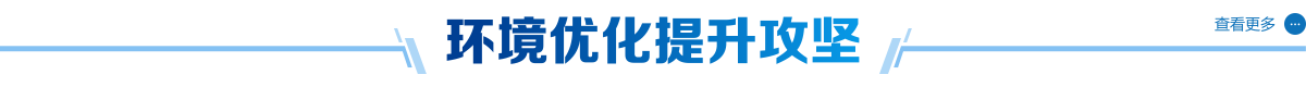 Ż