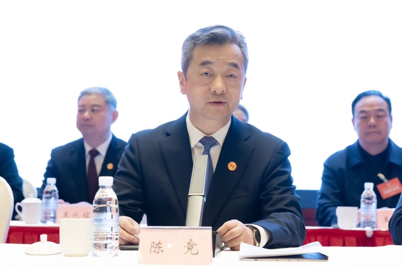 ܷȡ ƴ Ϊƽйʽִʵ