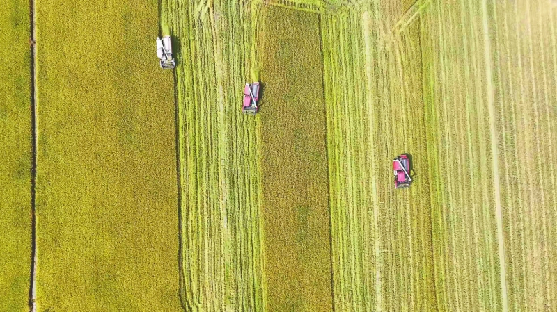 资水之阳 拔节而长