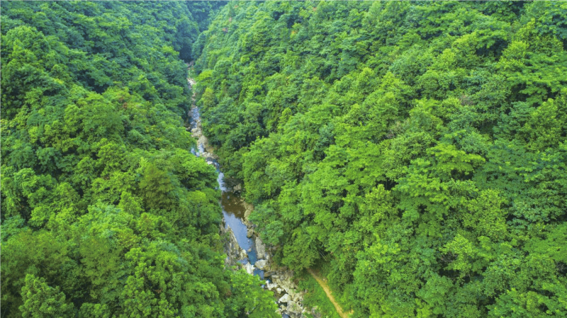 ���Ҽ�����ͨ���ɡ�������԰��