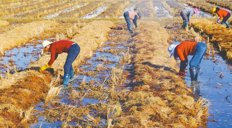 ɳͷ�� �ոѱ��Ϊ���̾���ɫ����·