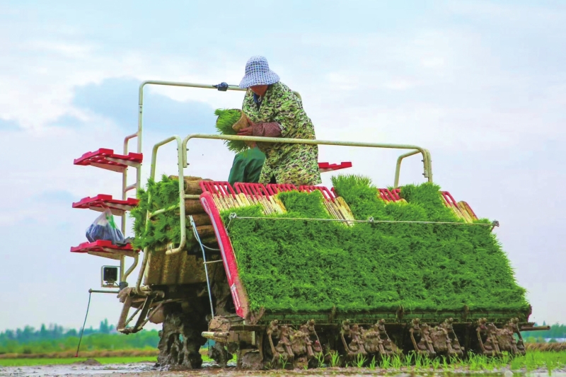 ��Ϻ�����ؿ��������·