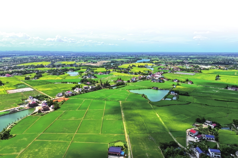 һ��ɽ�������� һ·�߸��ʶ���