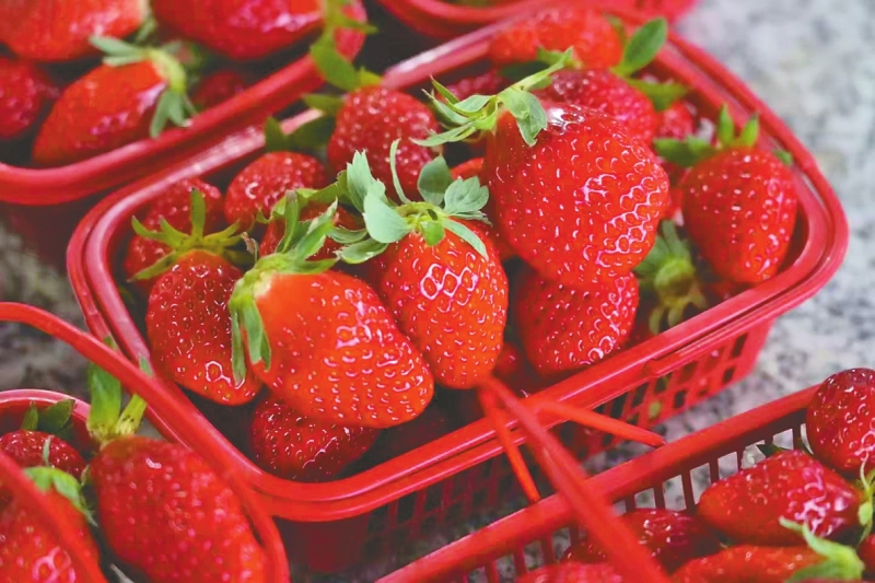 ��ݮ�������ӱ�����