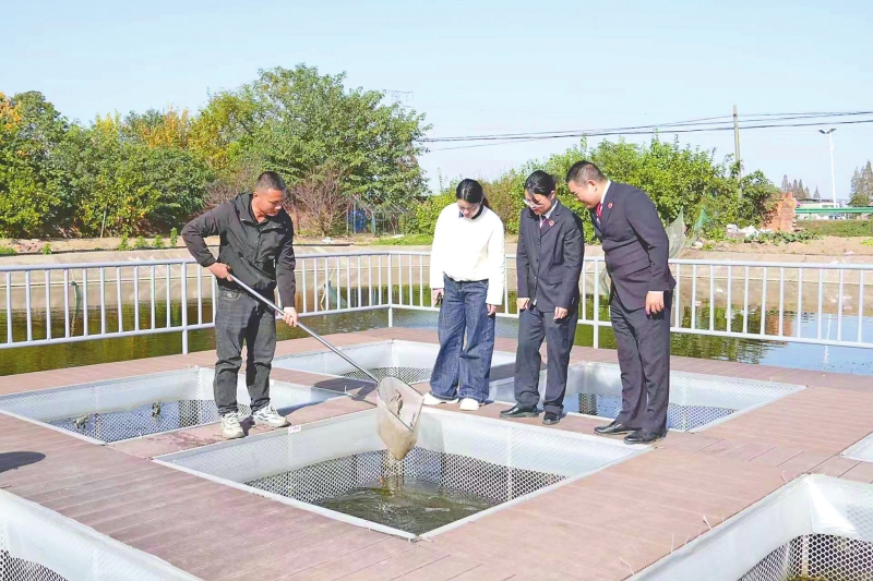 �����￴�����ε��������¶�