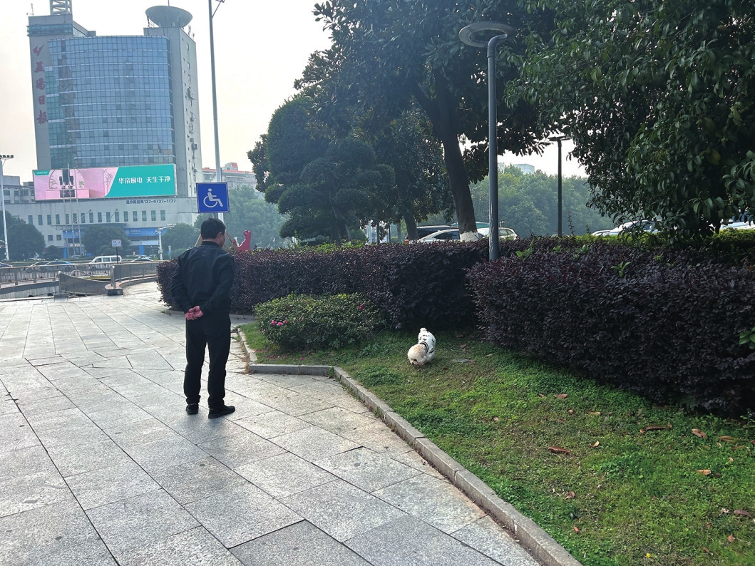 �¹�֮�£�Ȯ���ν⣿