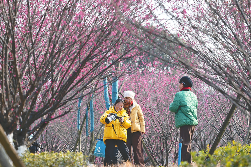 ���ա����������ߣ�����÷��������ѹ�����