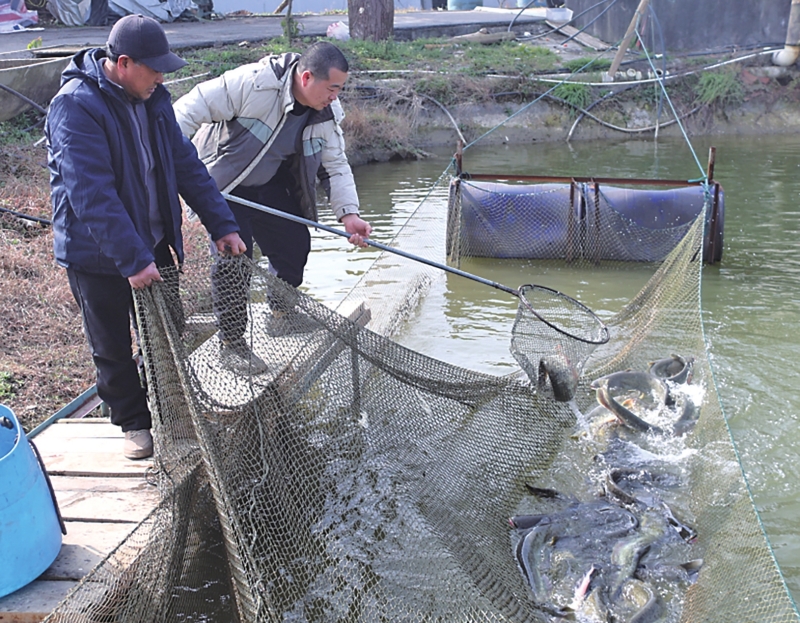 ��С��������Ȧ֮��