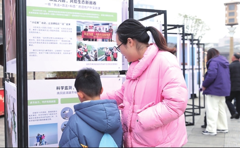 �϶�ͥ����̬��Ӱչ�����������