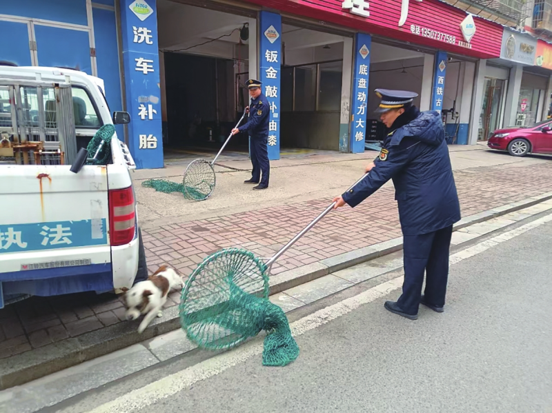 �������Ȯ���Ρ����γ���������ʯ