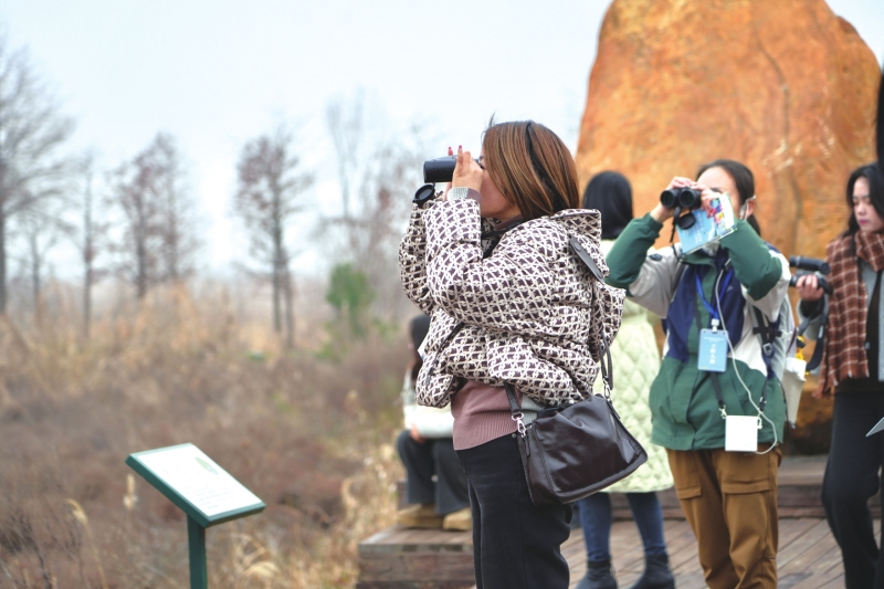 �˴�̽ʪ�� ���������