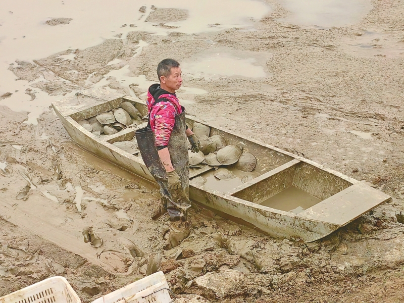 3����ζ�������γ��¸���