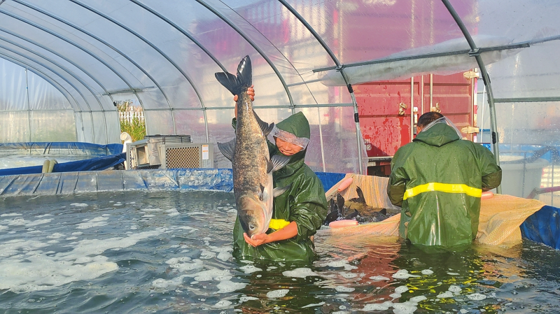 �ƼҺ����㡰�������´���ϯ