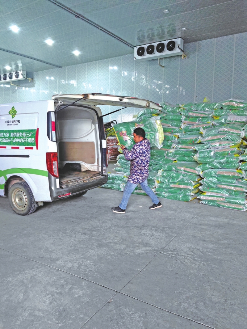 ���ڴ����� ��ɽ�����𴺸������ȳ�