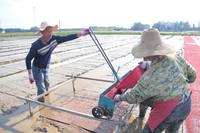 ���������硡�������¾�