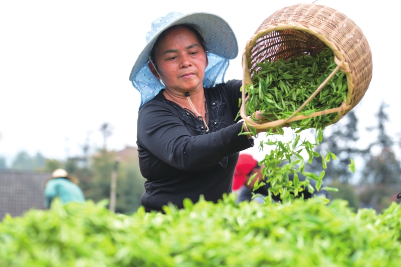 ��ũ�ڲ�ժ���衣