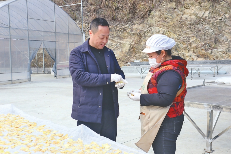 ��ְΪ���˲�ҵ���ƾ�Ʈ�������