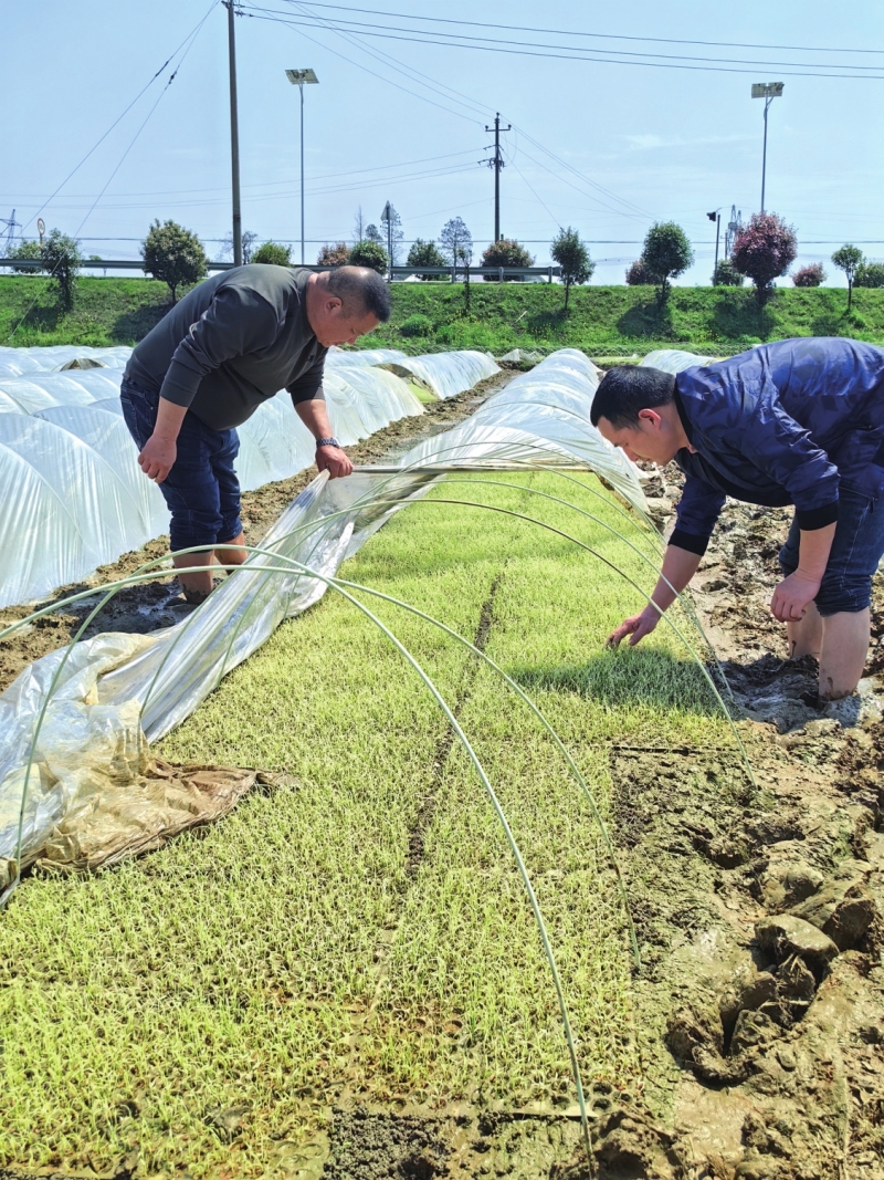 ũ��ר������ָ�����ǻ۹�����������