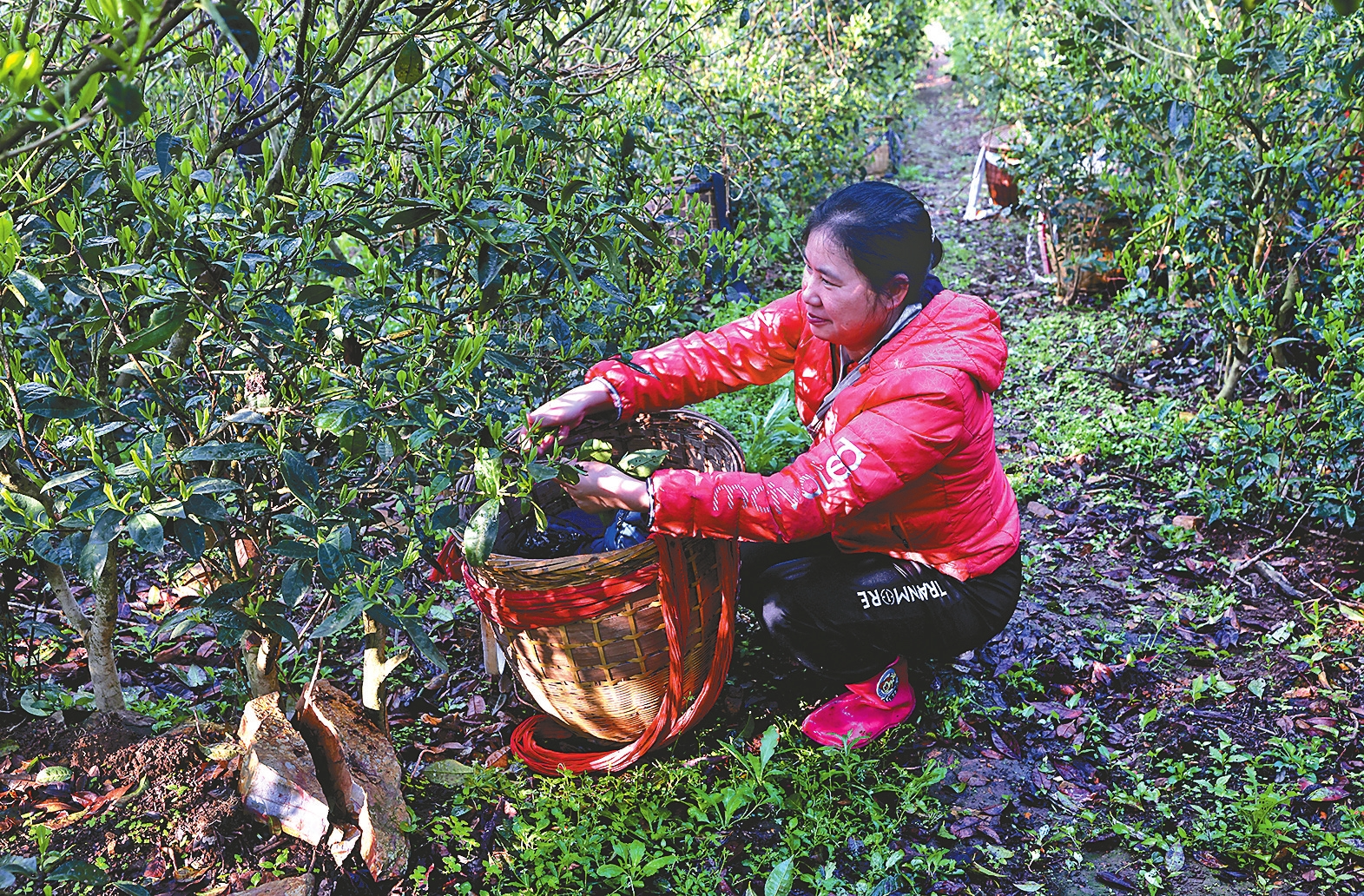 ��ũ����Ϫ��ͨϪ�Ŵ���Ϫ���԰�ɲ衣