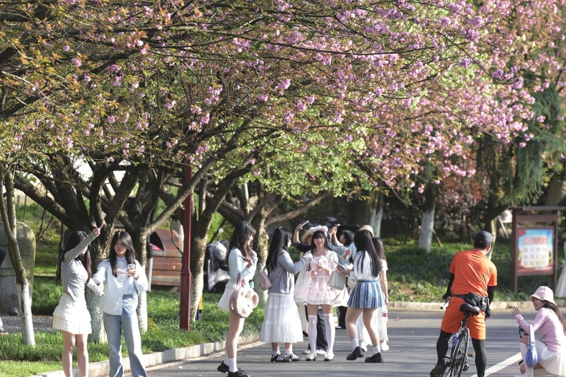 ��һ����ӣ֮Լ