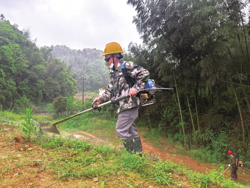 ����ȫ�����������Ӳ�������