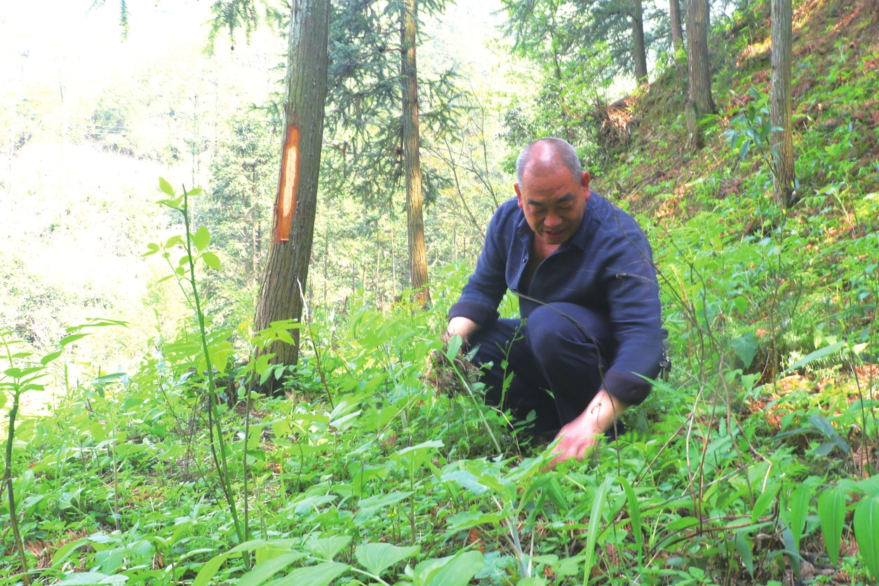 �ֳ�ְ���������ڲ鿴�ƾ�����