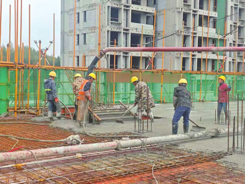 �����������������������������Ȳ��ƽ�